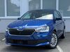 Skoda Fabia dorn-duerkheim