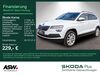 Skoda Karoq kreis|rheingau-taunus-kreis