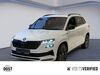 Skoda Karoq Röhrig