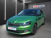 Skoda Fabia muldenstein