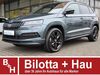 Skoda Karoq niederhosenbach