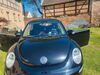 VW Beetle muehlstedt
