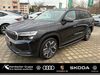 Skoda Kodiaq roedelhausen