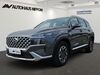 Hyundai SANTA FE hornburg