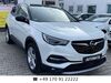 Opel Grandland (X) muenster-sarmsheim