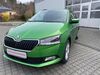 Skoda Fabia schoena-kolpien