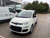 Fiat Panda gruenstadt