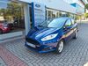 Ford Fiesta hottelstedt