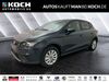 Seat Ibiza Schönebeck