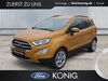 Ford EcoSport dankmarshausen