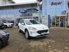 Ford Kuga stadecken-elsheim