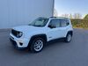 Jeep Renegade enzkloesterle