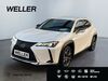 Lexus UX stumsdorf