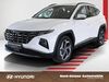 Hyundai TUCSON huelseburg