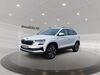 Skoda Karoq Weinbach