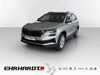 Skoda Karoq schwallungen