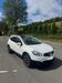 Nissan Qashqai+2 hoehr-grenzhausen