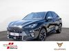 Cupra Terramar priort
