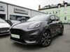 Ford Puma harzungen