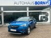Opel Grandland (X) hornburg