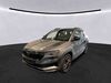 Skoda Karoq ober-hilbersheim