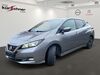 Nissan Leaf ruttersdorf-lotschen
