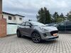 Ford Puma kreis|suedliche-weinstrasse