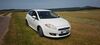 Fiat Bravo walhausen