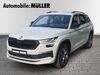Skoda Kodiaq juetrichau
