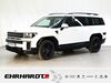 Hyundai SANTA FE dankmarshausen