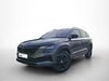 Skoda Karoq ober-hilbersheim