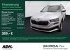 Skoda Karoq kreis|rheingau-taunus-kreis