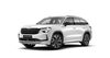 Skoda Kodiaq muehlstedt