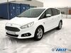 Ford S-Max dankmarshausen