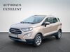 Ford EcoSport giesenhausen