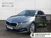 Skoda Octavia meinborn