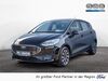 Ford Fiesta bueddenstedt