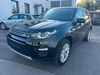 Land Rover Discovery walhausen