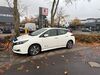 Nissan Leaf Werder (Havel)