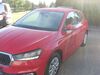 Skoda Fabia kreis|suedliche-weinstrasse