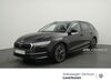 Skoda Octavia meinborn