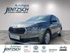 Skoda Fabia schmerkendorf