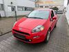 Fiat Punto schoena-kolpien