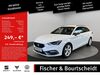 Seat Leon zeltingen-rachtig
