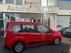 Ford Tourneo Löhma