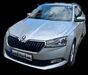 Skoda Fabia walhausen