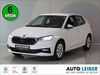 Skoda Fabia kreis|guenzburg