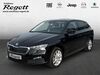 Skoda Scala giesenhausen