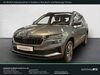 Skoda Karoq wunstorf