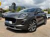 Ford Puma roedelhausen